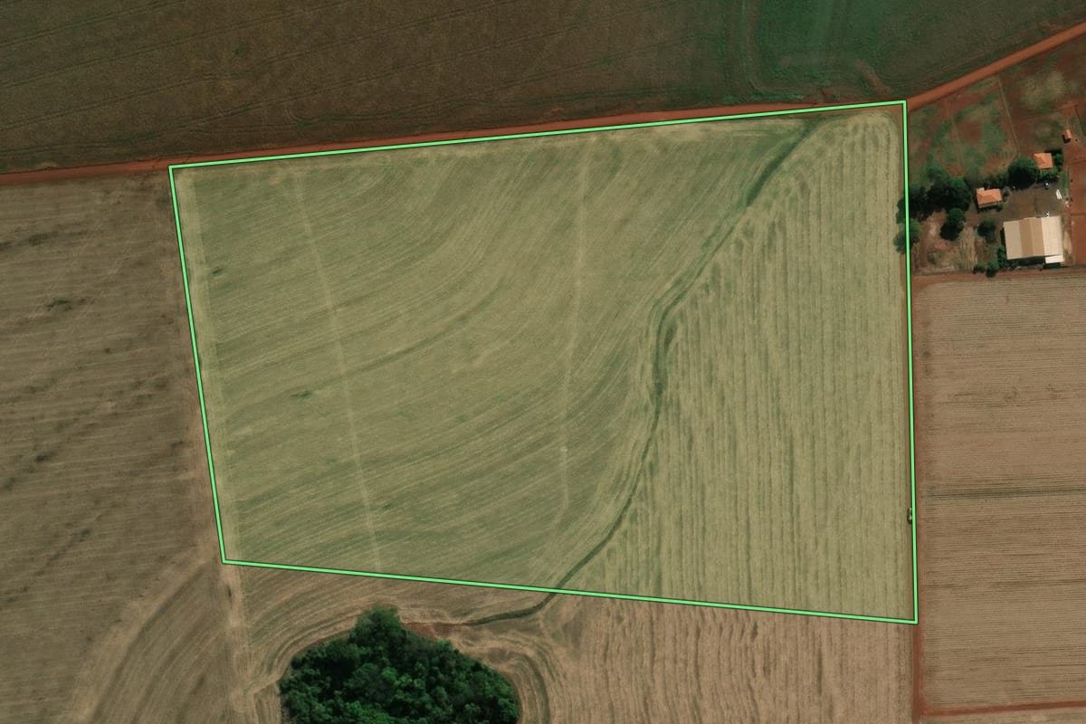 Imagem de satélite do imóvel rural em Cândido Mota (SP), com o contorno declarado no CAR desenhado por cima.