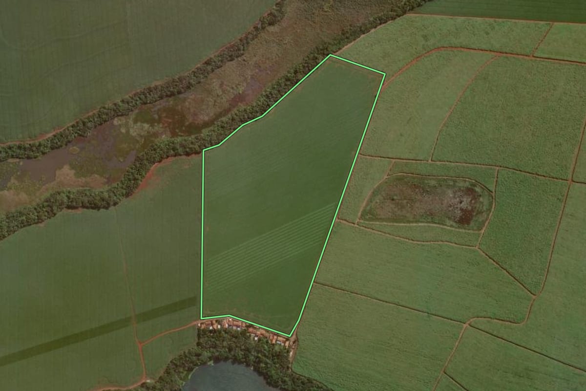 Imagem de satélite do imóvel rural em Cândido Mota (SP), com o contorno declarado no CAR desenhado por cima.