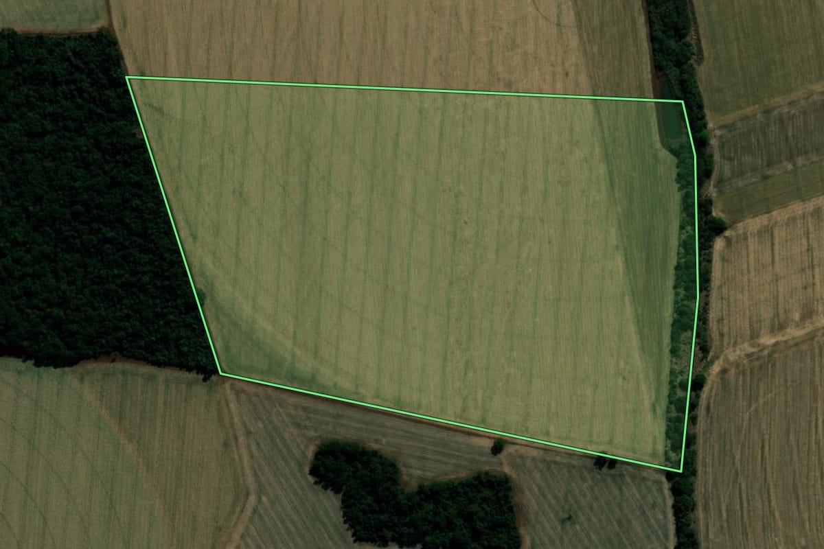 Imagem de satélite do imóvel rural em Cândido Mota (SP), com o contorno declarado no CAR desenhado por cima.