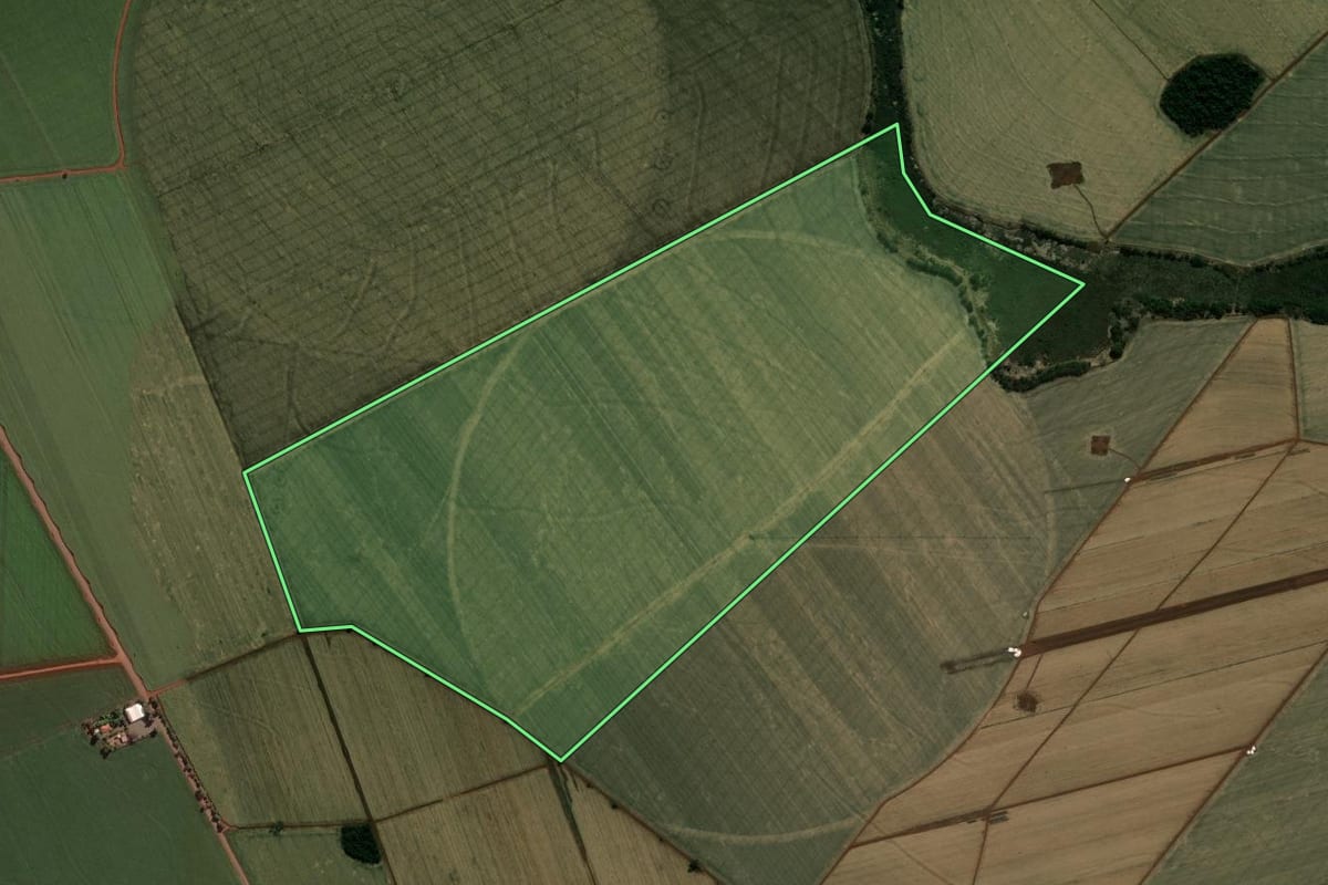 Imagem de satélite do imóvel rural em Cândido Mota (SP), com o contorno declarado no CAR desenhado por cima.