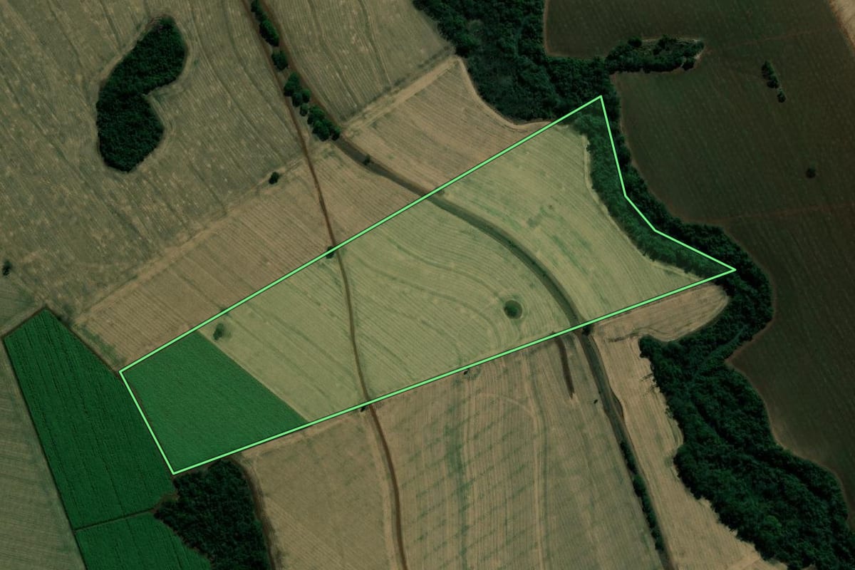 Imagem de satélite do imóvel rural em Cândido Mota (SP), com o contorno declarado no CAR desenhado por cima.