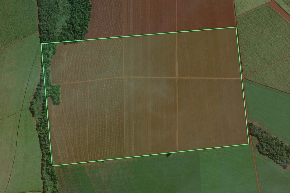 Imagem de satélite do imóvel rural em Cândido Mota (SP), com o contorno declarado no CAR desenhado por cima.