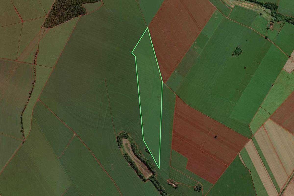 Imagem de satélite do imóvel rural em Cândido Mota (SP), com o contorno declarado no CAR desenhado por cima.