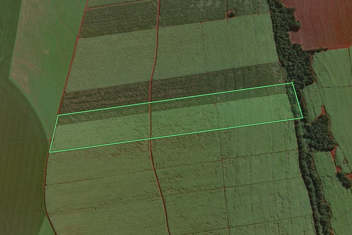 Imagem de satélite do imóvel rural em Cândido Mota (SP), com o contorno declarado no CAR desenhado por cima.