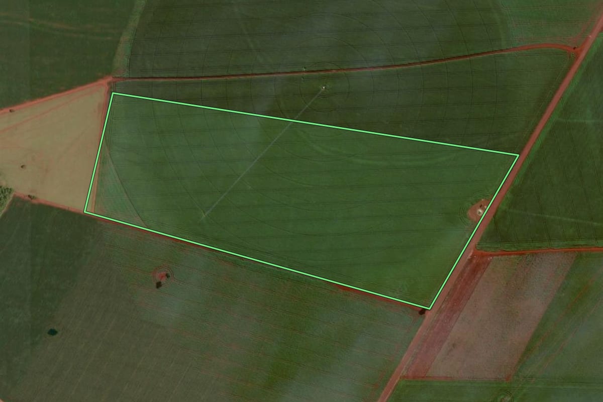 Imagem de satélite do imóvel rural em Cândido Mota (SP), com o contorno declarado no CAR desenhado por cima.