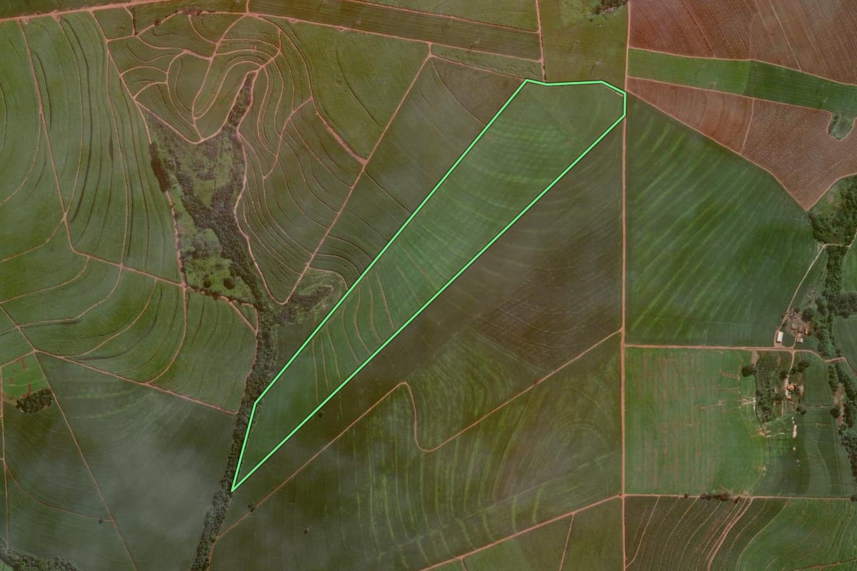 Imagem de satélite do imóvel rural em Cândido Mota (SP), com o contorno declarado no CAR desenhado por cima.