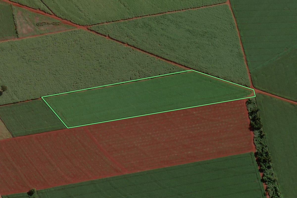 Imagem de satélite do imóvel rural em Cândido Mota (SP), com o contorno declarado no CAR desenhado por cima.