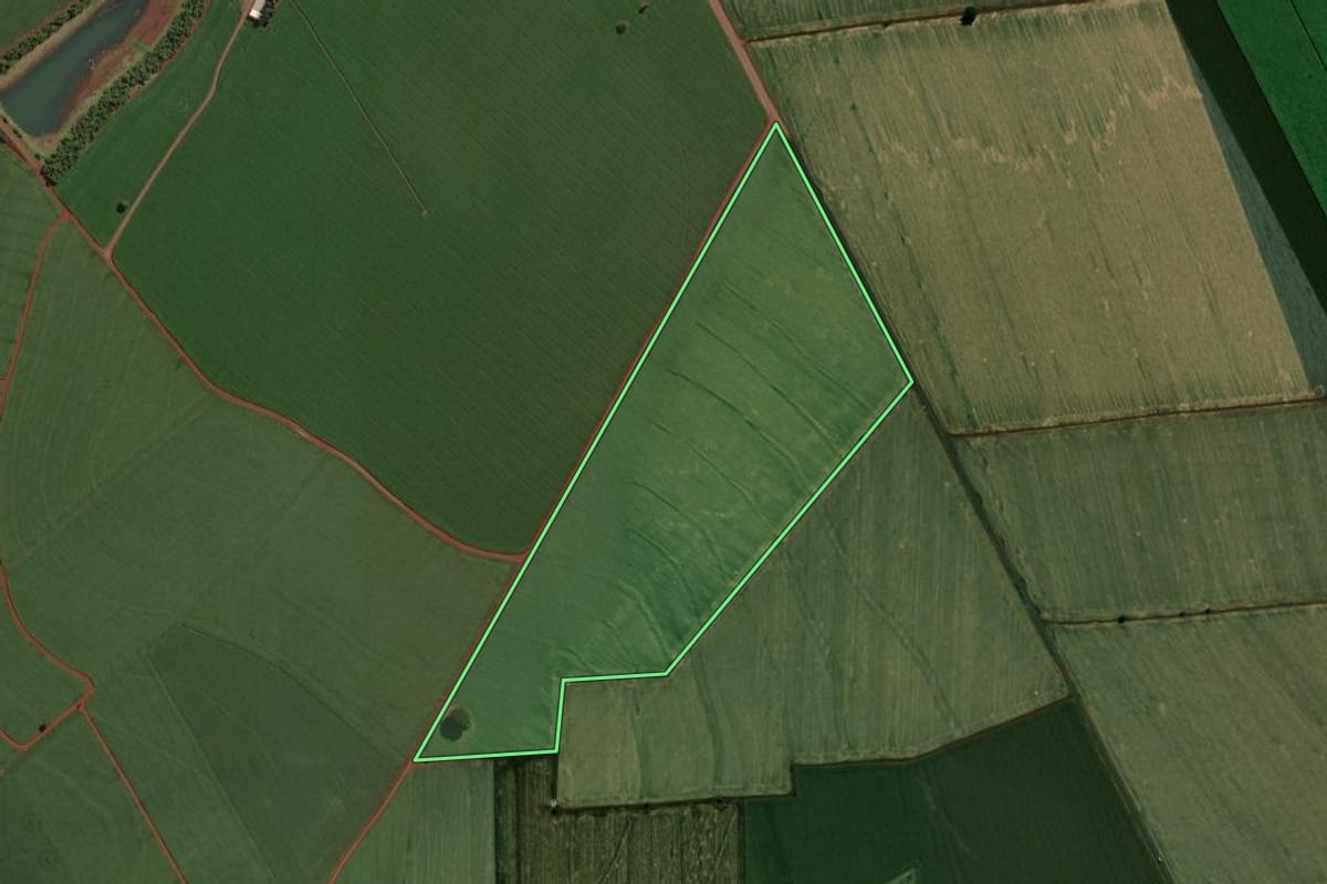 Imagem de satélite do imóvel rural em Cândido Mota (SP), com o contorno declarado no CAR desenhado por cima.