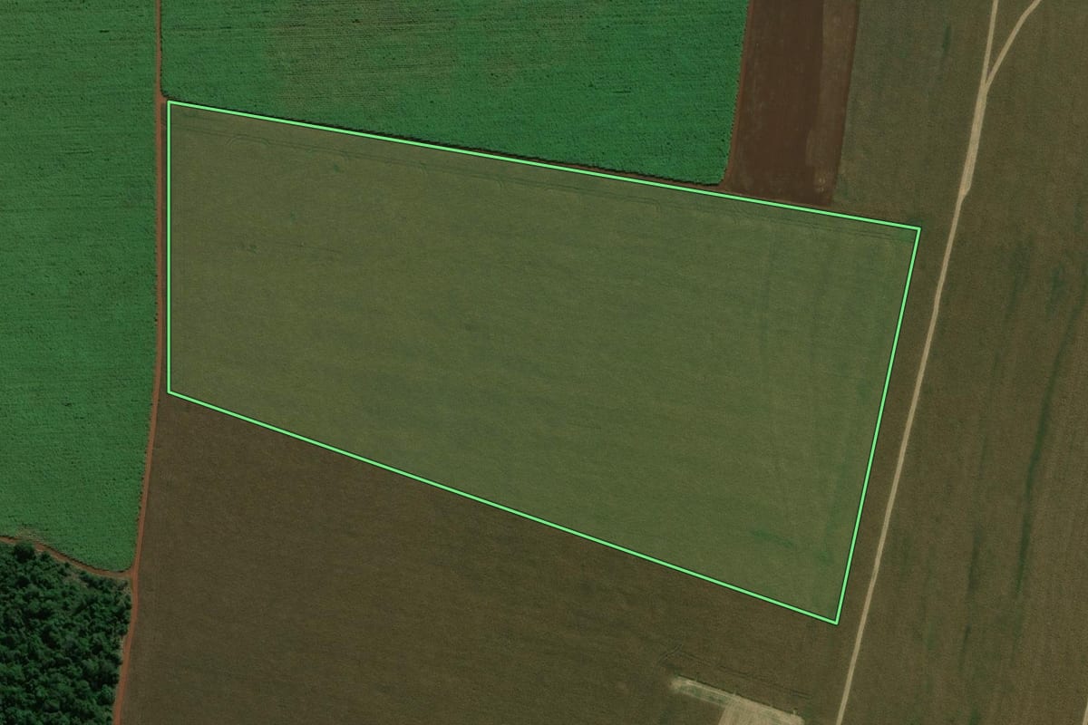 Imagem de satélite do imóvel rural em Cândido Mota (SP), com o contorno declarado no CAR desenhado por cima.