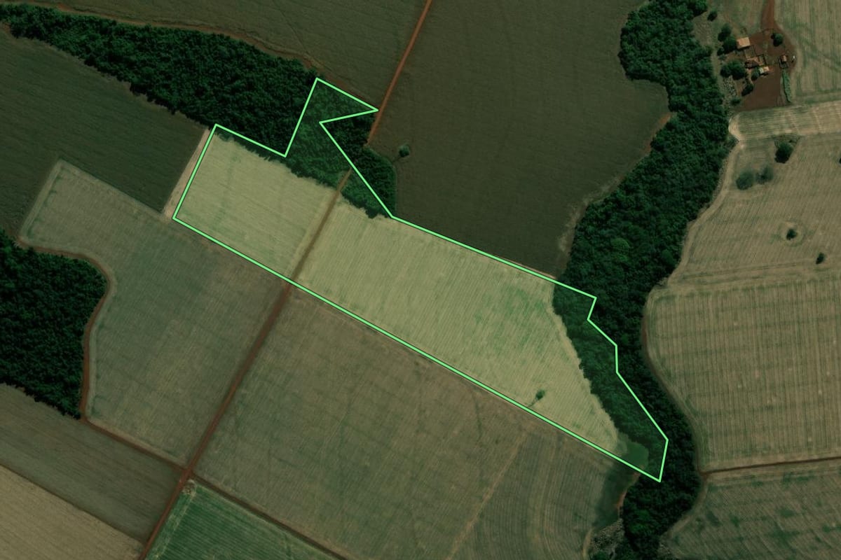 Imagem de satélite do imóvel rural em Cândido Mota (SP), com o contorno declarado no CAR desenhado por cima.
