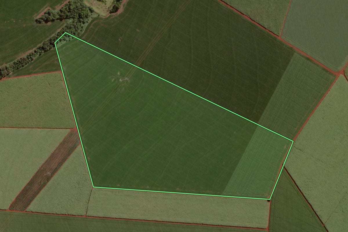 Imagem de satélite do imóvel rural em Cândido Mota (SP), com o contorno declarado no CAR desenhado por cima.