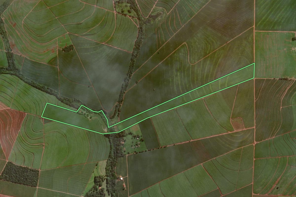 Imagem de satélite do imóvel rural em Cândido Mota (SP), com o contorno declarado no CAR desenhado por cima.