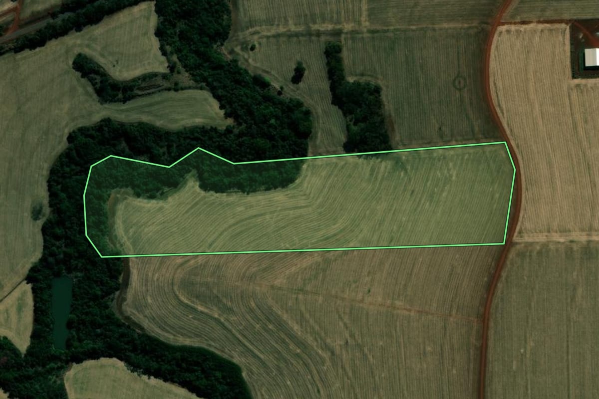 Imagem de satélite do imóvel rural em Cândido Mota (SP), com o contorno declarado no CAR desenhado por cima.