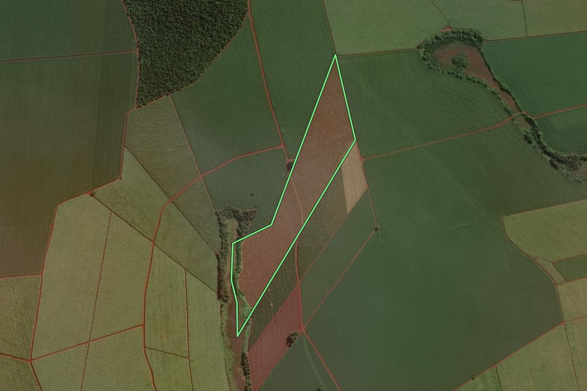 Imagem de satélite do imóvel rural em Cândido Mota (SP), com o contorno declarado no CAR desenhado por cima.