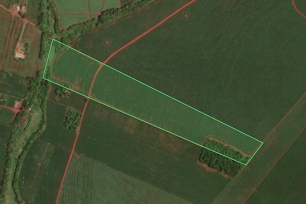 Imagem de satélite do imóvel rural em Cândido Mota (SP), com o contorno declarado no CAR desenhado por cima.