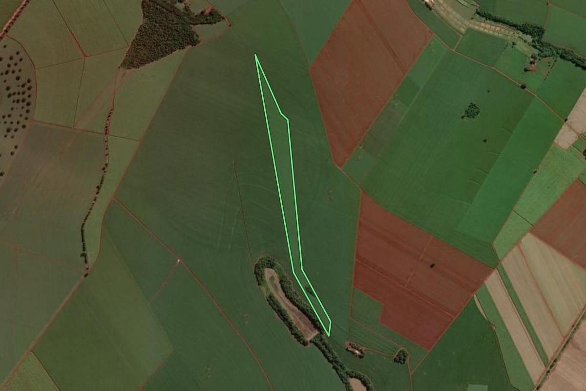 Imagem de satélite do imóvel rural em Cândido Mota (SP), com o contorno declarado no CAR desenhado por cima.