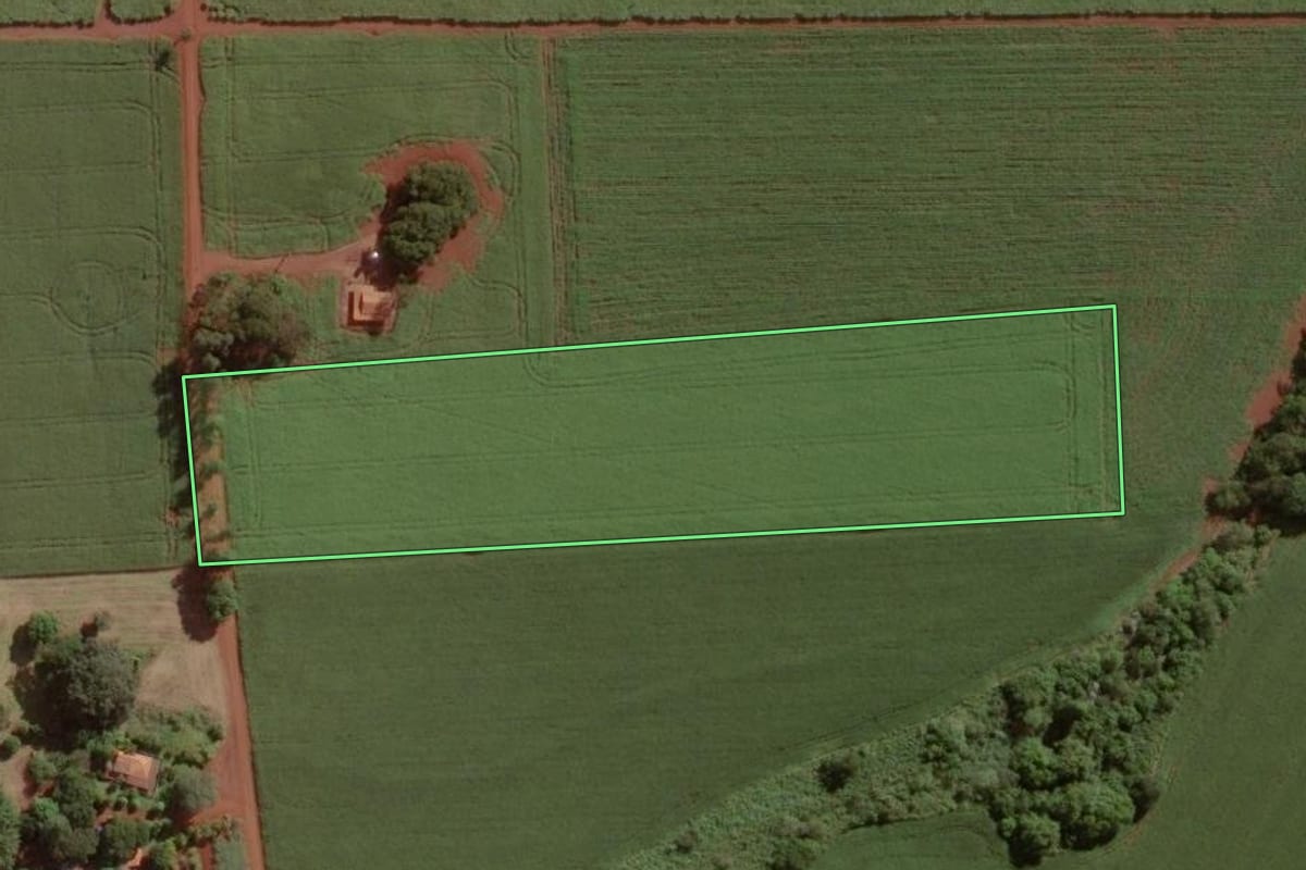 Imagem de satélite do imóvel rural em Cândido Mota (SP), com o contorno declarado no CAR desenhado por cima.