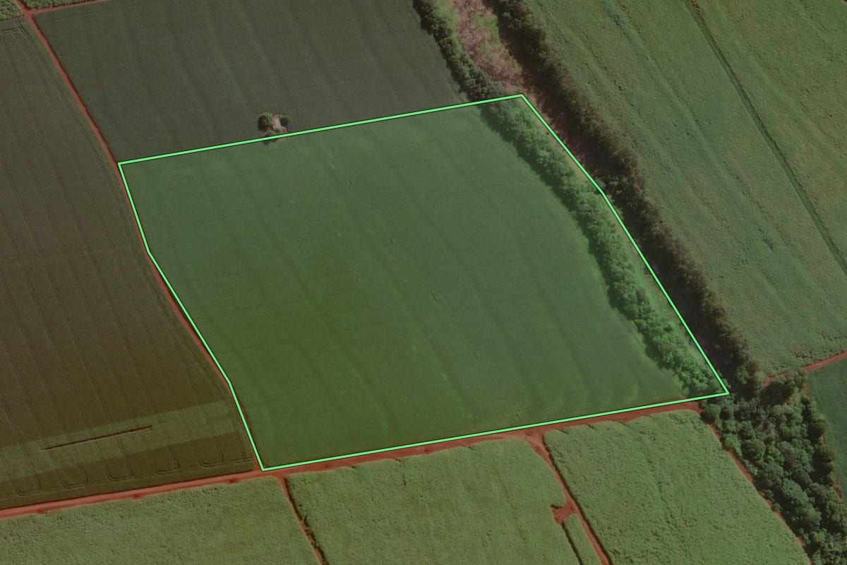 Imagem de satélite do imóvel rural em Cândido Mota (SP), com o contorno declarado no CAR desenhado por cima.