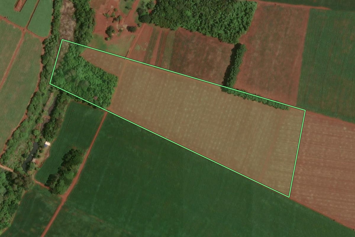 Imagem de satélite do imóvel rural em Cândido Mota (SP), com o contorno declarado no CAR desenhado por cima.