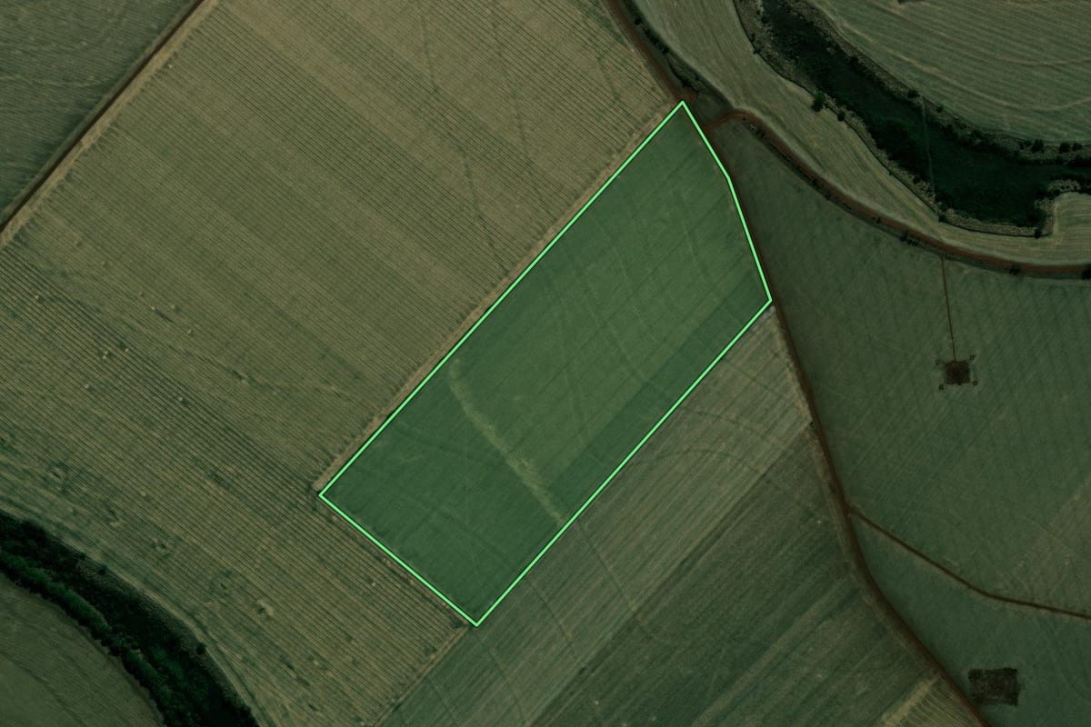 Imagem de satélite do imóvel rural em Cândido Mota (SP), com o contorno declarado no CAR desenhado por cima.