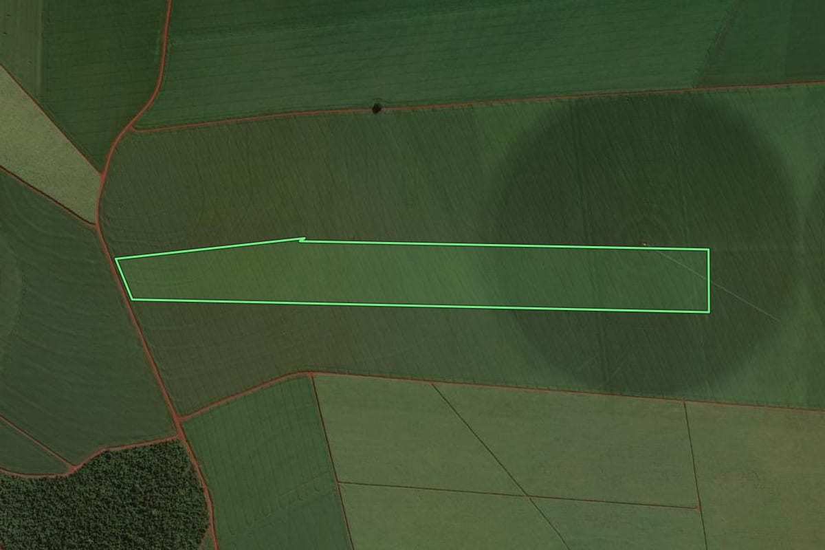Imagem de satélite do imóvel rural em Cândido Mota (SP), com o contorno declarado no CAR desenhado por cima.