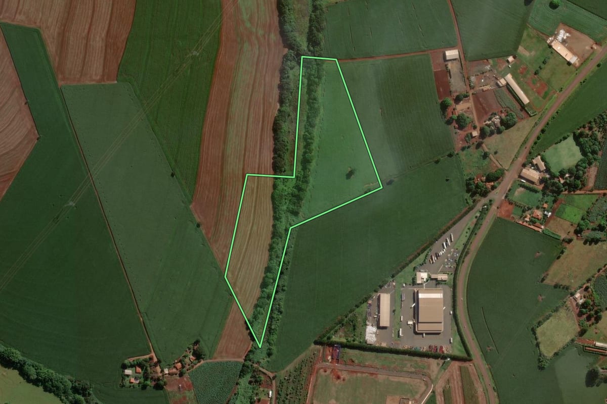 Imagem de satélite do imóvel rural em Cândido Mota (SP), com o contorno declarado no CAR desenhado por cima.