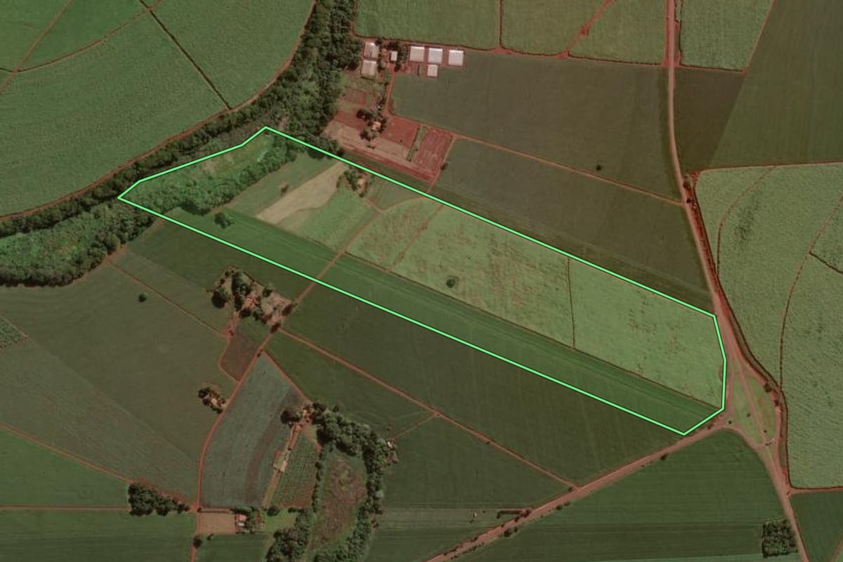Imagem de satélite do imóvel rural em Cândido Mota (SP), com o contorno declarado no CAR desenhado por cima.