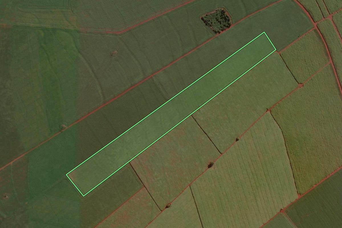 Imagem de satélite do imóvel rural em Cândido Mota (SP), com o contorno declarado no CAR desenhado por cima.