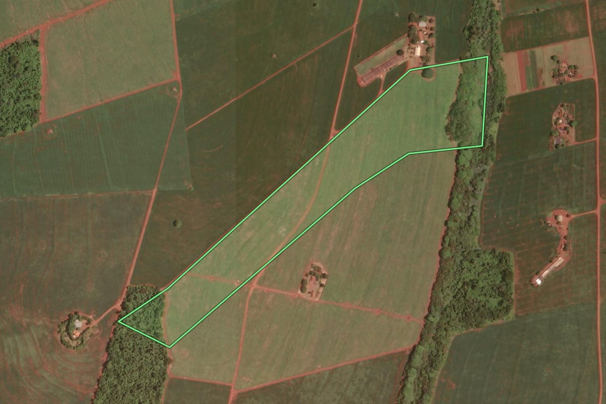 Imagem de satélite do imóvel rural em Cândido Mota (SP), com o contorno declarado no CAR desenhado por cima.
