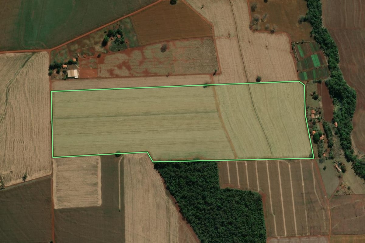 Imagem de satélite do imóvel rural em Cândido Mota (SP), com o contorno declarado no CAR desenhado por cima.