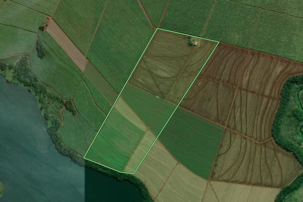 Imagem de satélite do imóvel rural em Cândido Mota (SP), com o contorno declarado no CAR desenhado por cima.
