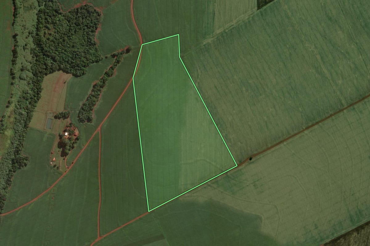 Imagem de satélite do imóvel rural em Cândido Mota (SP), com o contorno declarado no CAR desenhado por cima.