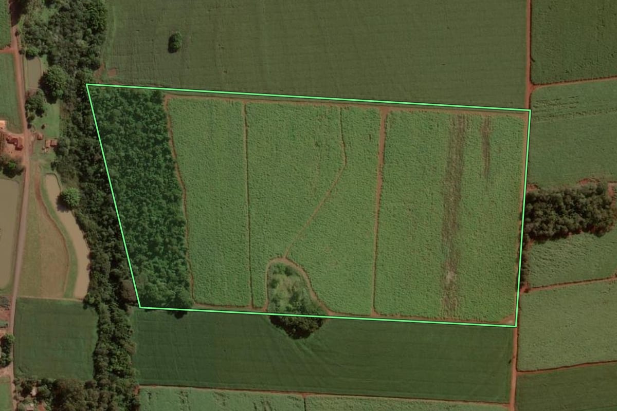 Imagem de satélite do imóvel rural em Cândido Mota (SP), com o contorno declarado no CAR desenhado por cima.