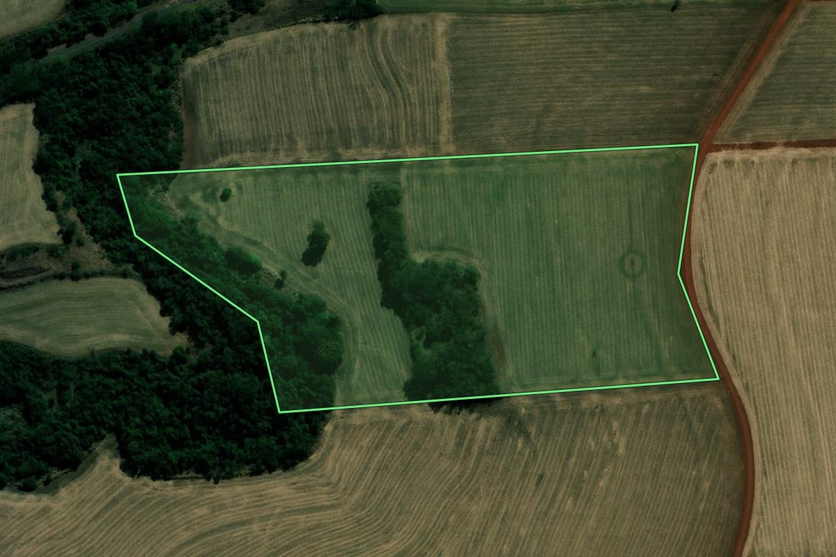 Imagem de satélite do imóvel rural em Cândido Mota (SP), com o contorno declarado no CAR desenhado por cima.