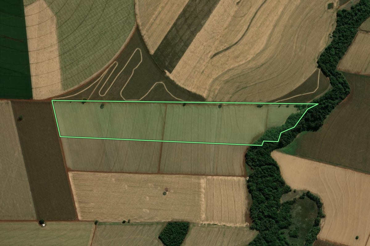 Imagem de satélite do imóvel rural em Cândido Mota (SP), com o contorno declarado no CAR desenhado por cima.