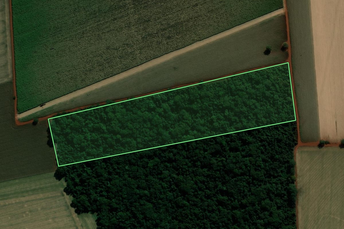 Imagem de satélite do imóvel rural em Cândido Mota (SP), com o contorno declarado no CAR desenhado por cima.