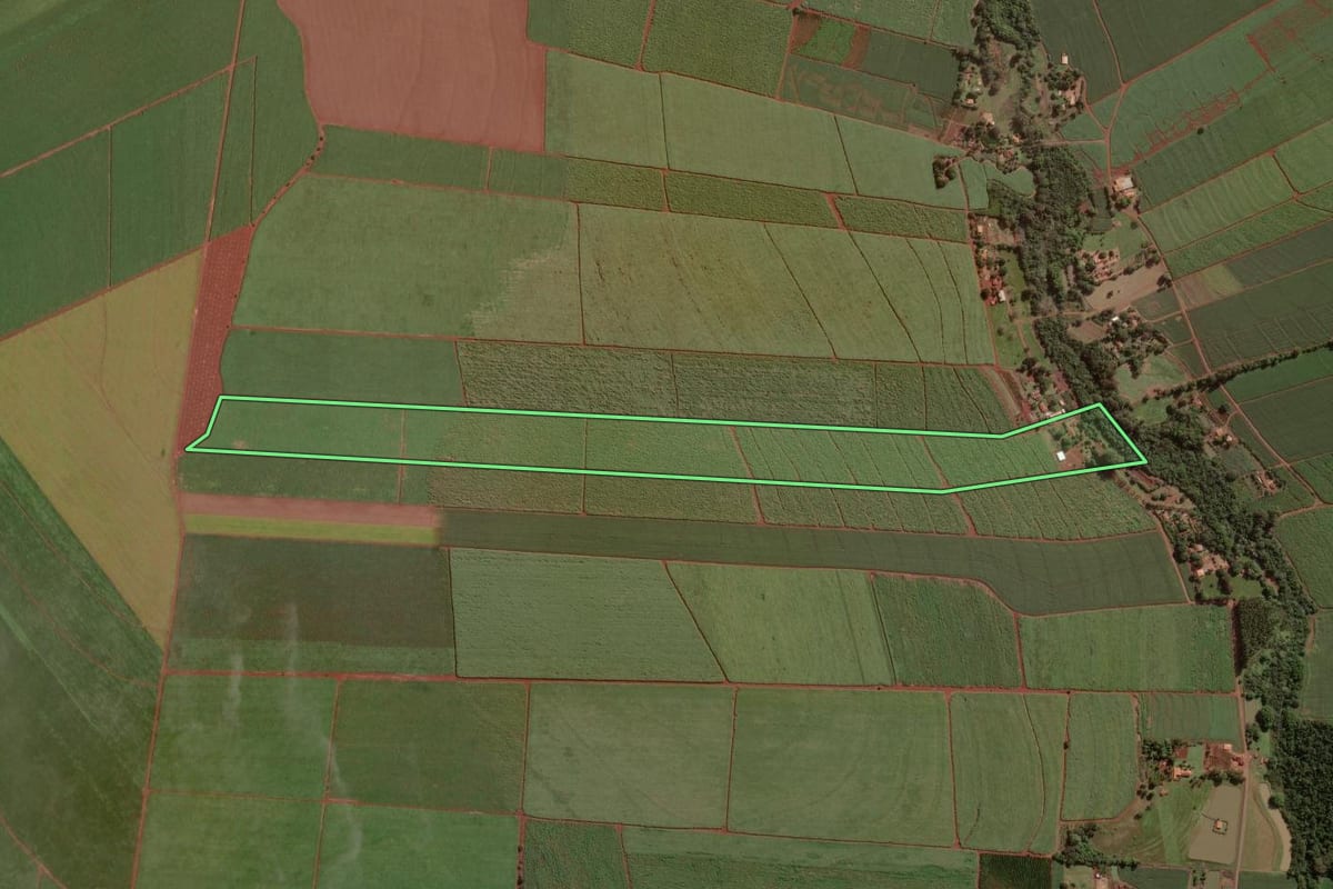 Imagem de satélite do imóvel rural em Cândido Mota (SP), com o contorno declarado no CAR desenhado por cima.
