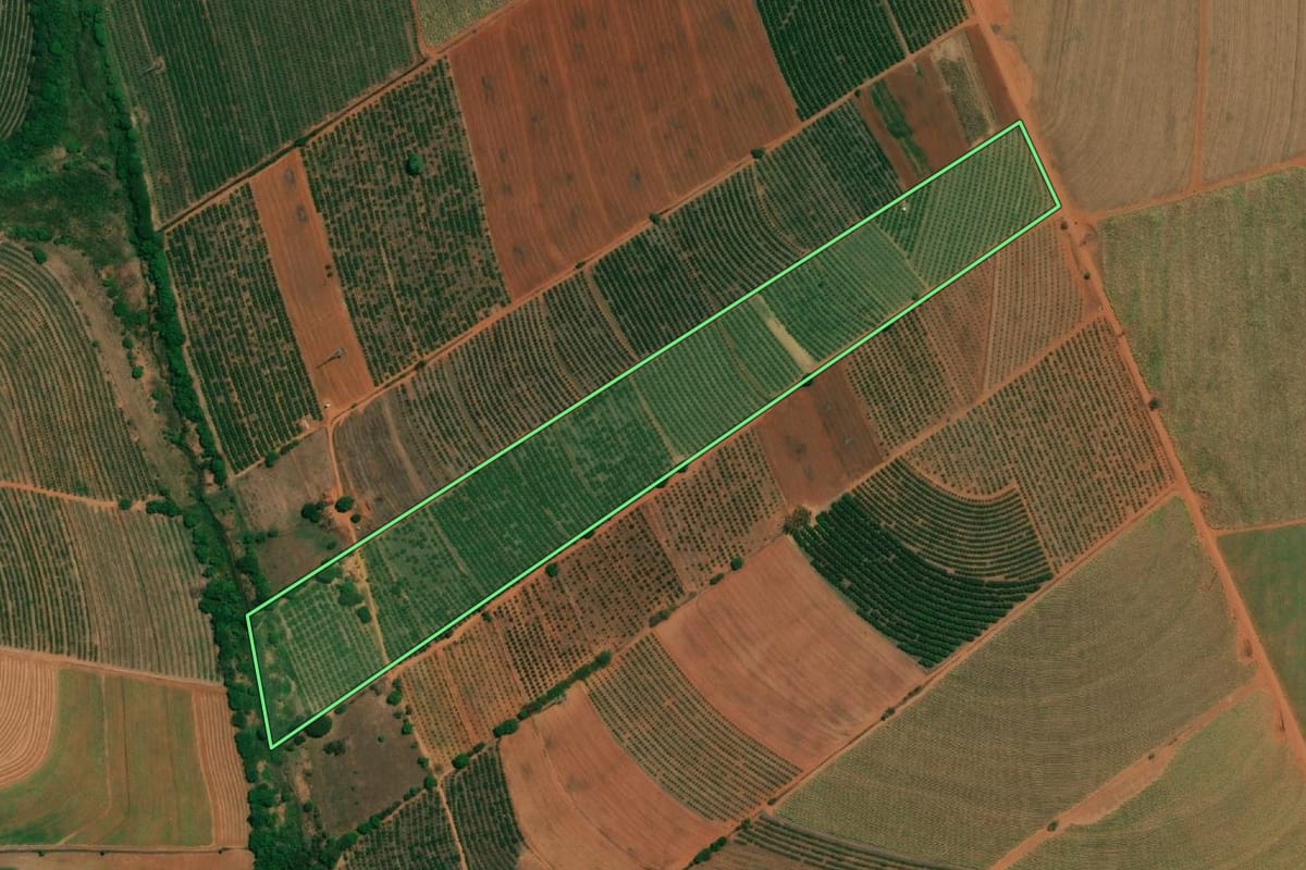 Imagem de satélite do imóvel rural em Cândido Rodrigues (SP), com o contorno declarado no CAR desenhado por cima.