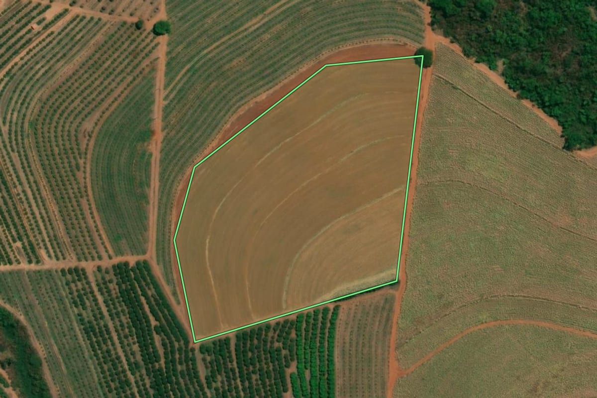 Imagem de satélite do imóvel rural em Cândido Rodrigues (SP), com o contorno declarado no CAR desenhado por cima.