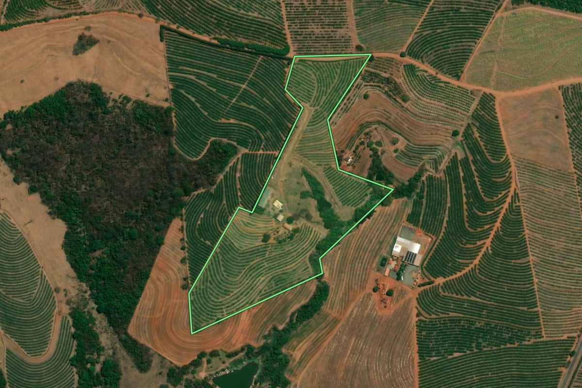 Imagem de satélite do imóvel rural em Cândido Rodrigues (SP), com o contorno declarado no CAR desenhado por cima.
