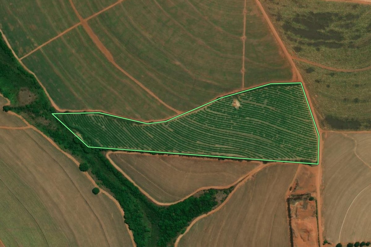 Imagem de satélite do imóvel rural em Cândido Rodrigues (SP), com o contorno declarado no CAR desenhado por cima.
