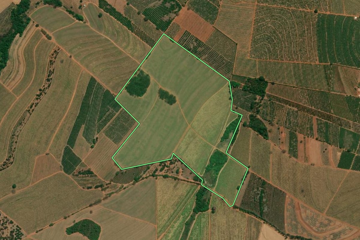 Imagem de satélite do imóvel rural em Cândido Rodrigues (SP), com o contorno declarado no CAR desenhado por cima.