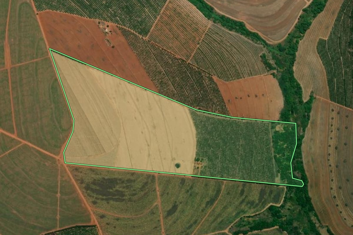 Imagem de satélite do imóvel rural em Cândido Rodrigues (SP), com o contorno declarado no CAR desenhado por cima.