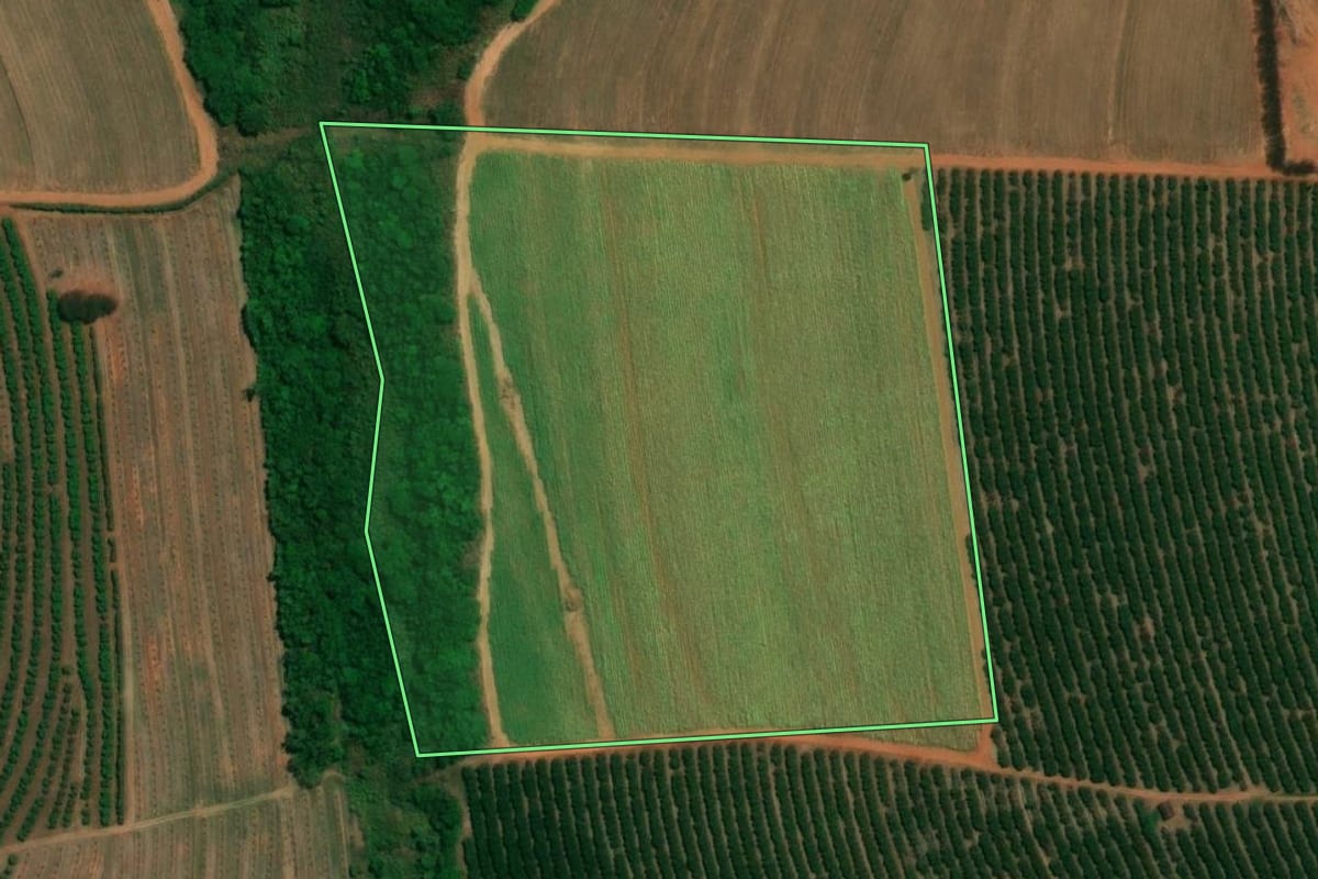 Imagem de satélite do imóvel rural em Cândido Rodrigues (SP), com o contorno declarado no CAR desenhado por cima.