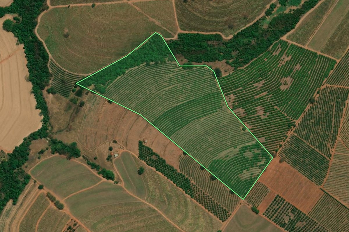 Imagem de satélite do imóvel rural em Cândido Rodrigues (SP), com o contorno declarado no CAR desenhado por cima.