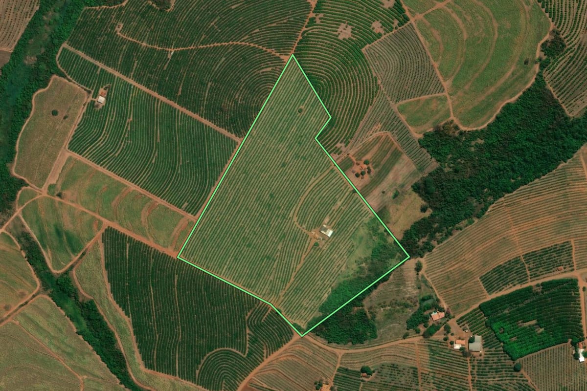 Imagem de satélite do imóvel rural em Cândido Rodrigues (SP), com o contorno declarado no CAR desenhado por cima.