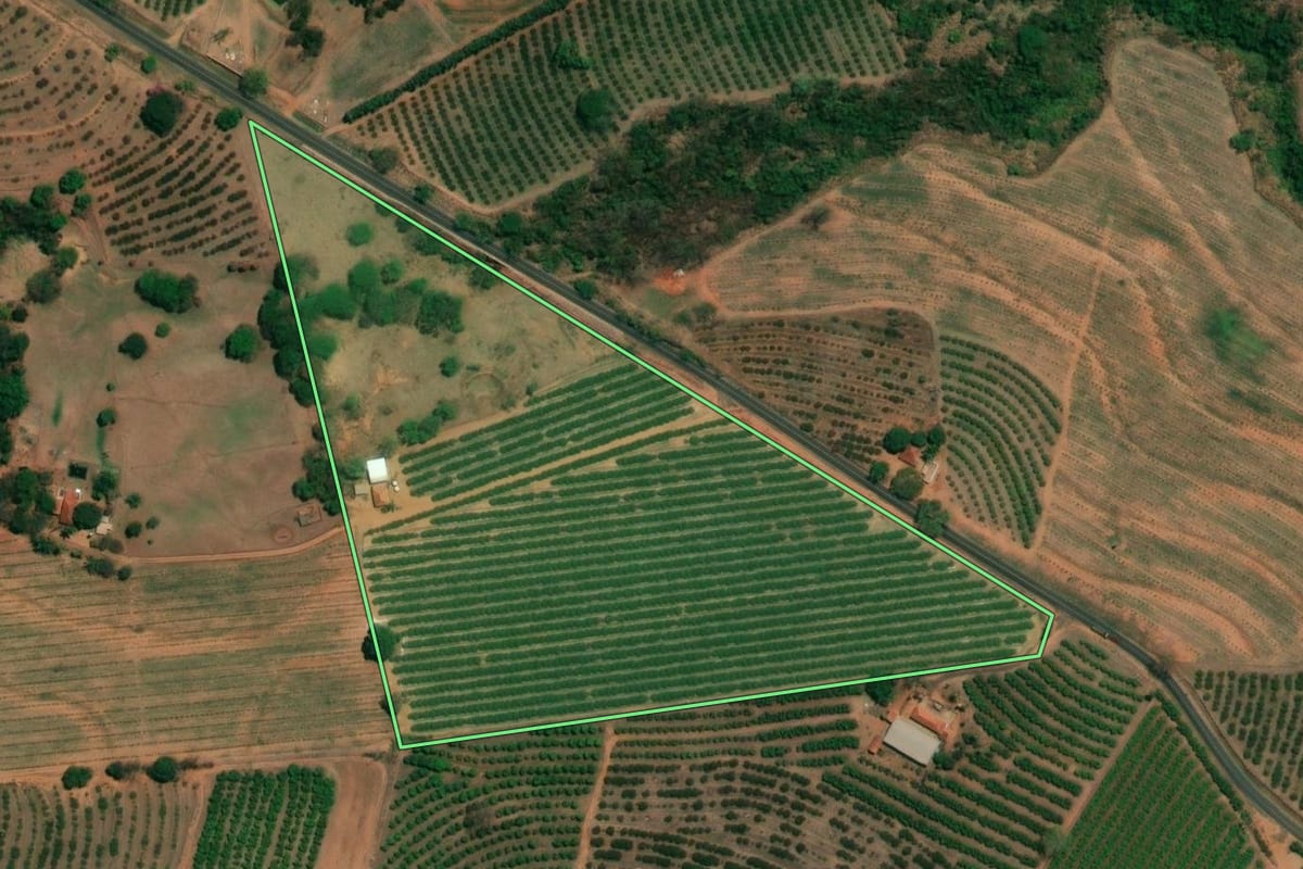 Imagem de satélite do imóvel rural em Cândido Rodrigues (SP), com o contorno declarado no CAR desenhado por cima.
