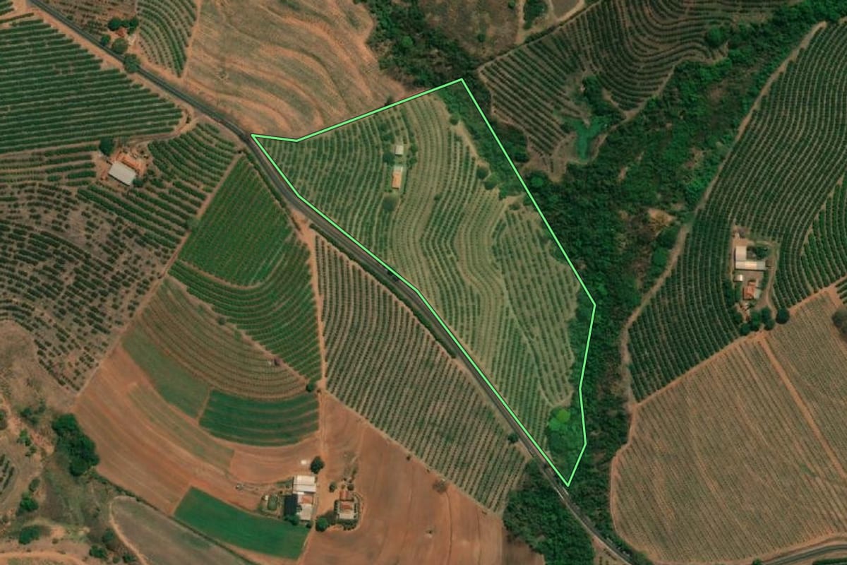 Imagem de satélite do imóvel rural em Cândido Rodrigues (SP), com o contorno declarado no CAR desenhado por cima.