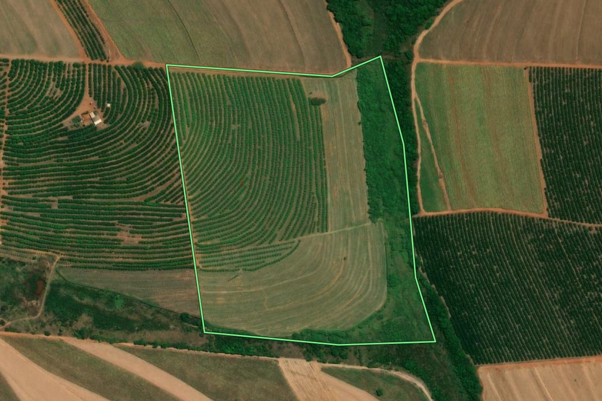 Imagem de satélite do imóvel rural em Cândido Rodrigues (SP), com o contorno declarado no CAR desenhado por cima.