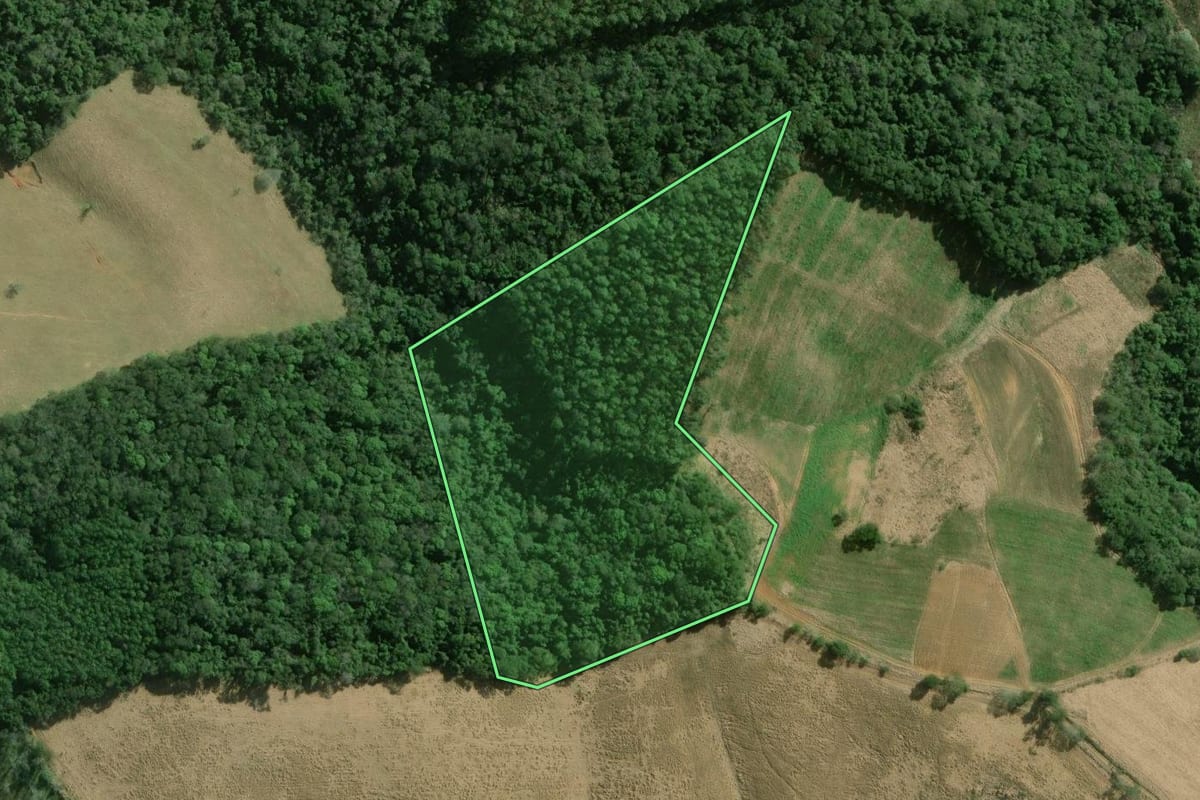 Imagem de satélite do imóvel rural em Capão Bonito (SP), com o contorno declarado no CAR desenhado por cima.
